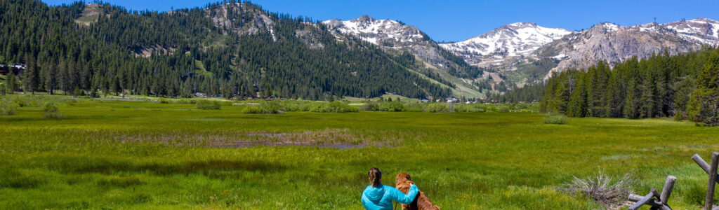A woman and her dog looking out at Olympic Valley in the summertime.