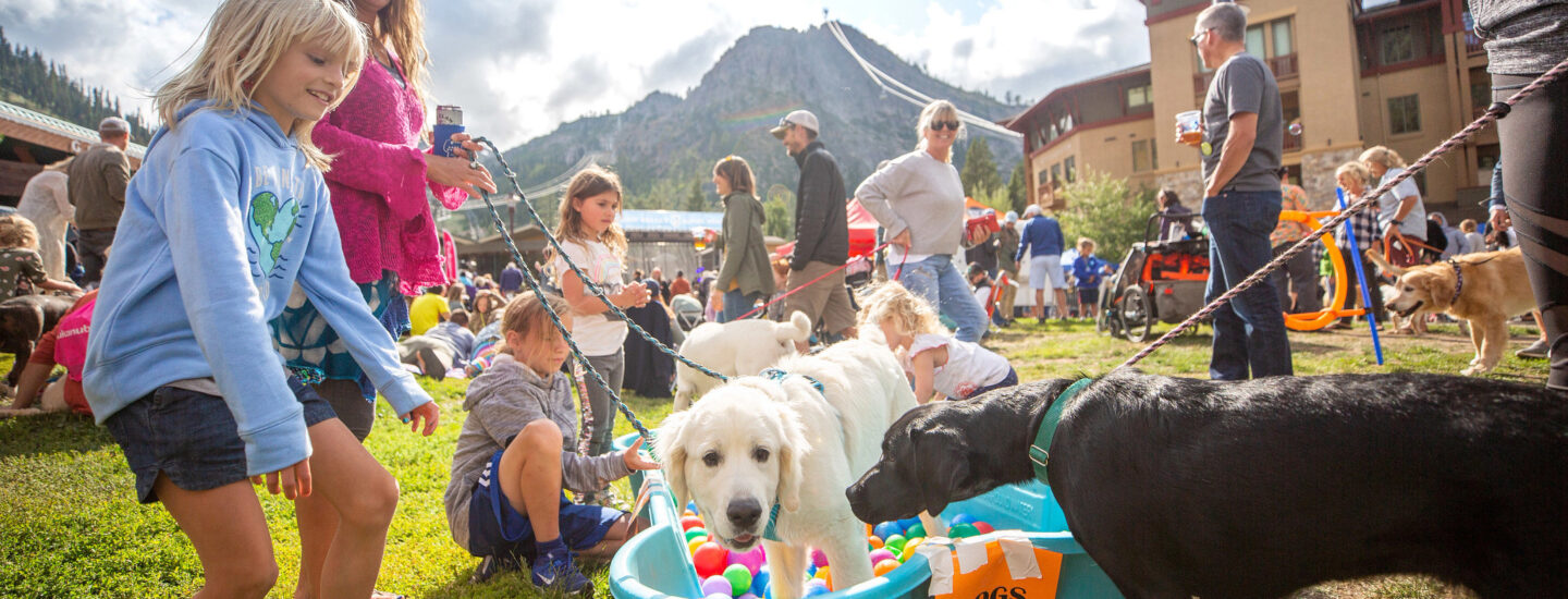 Kids and dogs celebrating the Brews, Jazz, & Funk Festival in The Village at Palisades Tahoe.